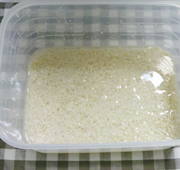 塩麹の作り方　10