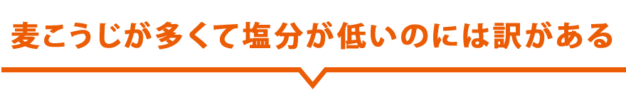 B 17 国産伊予のみそこし400g 麦味噌通販 ギノー味噌